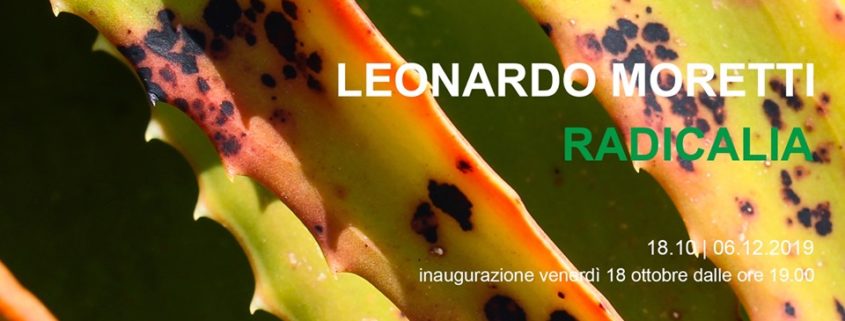 Leonardo Moretti - Radicalia - Prato - MOO