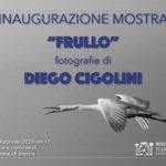 Diego Cigolini - FRULLO - Museo Nazionale della Fotografia Brescia